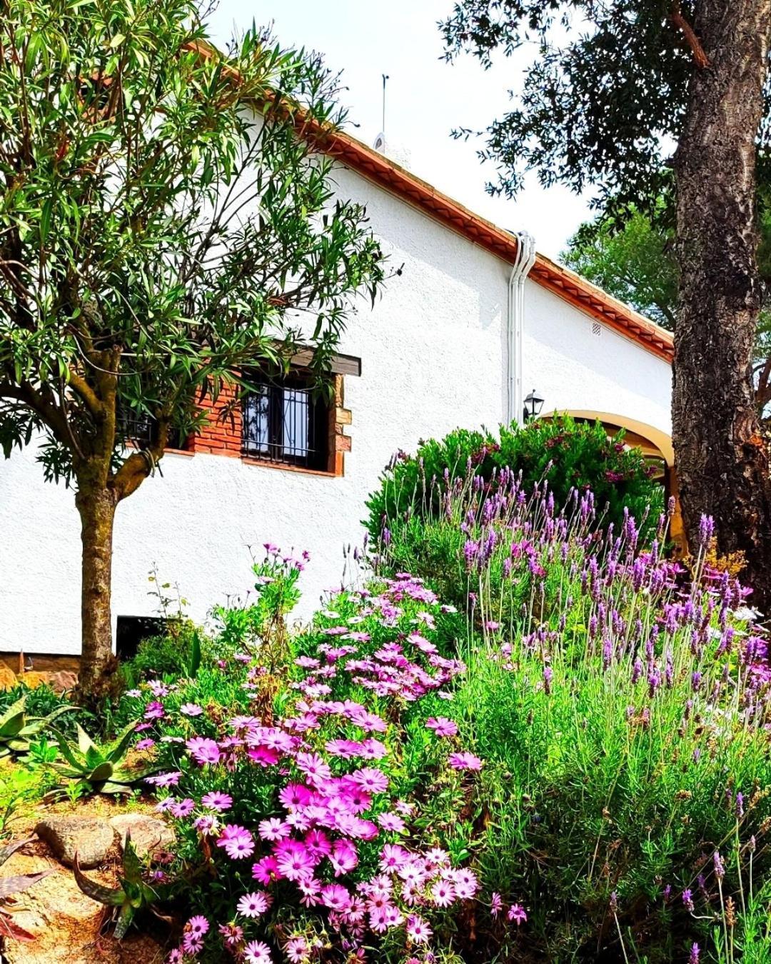 Villa Boheme Costa Brava Calonge  Exterior foto